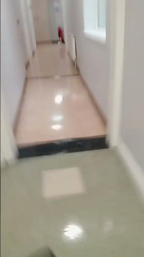 Windows 11 kill screen