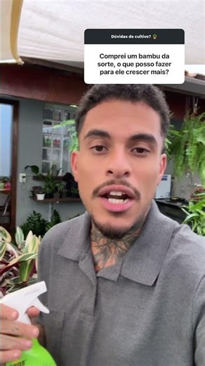 Como fazer o Bambu-da-sorte crescer mais I Nordic Green