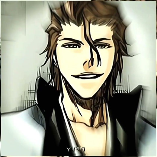 Aizen's plan