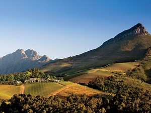 Where to Go in South Africa's Wine Country