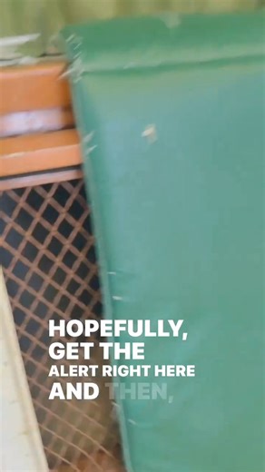 25K views · 428 reactions | GENERALIZING THE FENCE Finding “like” pictures out in the real world is crucial for the progression in the system. While I was on patrol, I was constantly scouting my environment for training locations to help the dogs Link everything together for when it is go time!! #k9servicesunlimited #k9 #real #power | K-9 Services Unlimited LLC | Facebook
