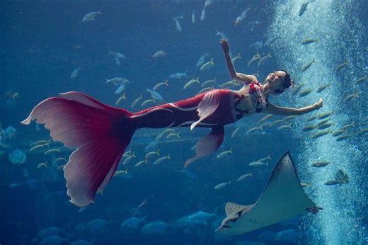 Chinese Aquarium Mermaid Bit On Head By Giant Fish, Offered Less Than $100 In Damages