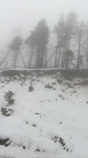 12 reactions | Drive through this snow mountain, absolutely lifetime experience Mighty #california #snowday | Mahadi Hasan Shawon | Facebook