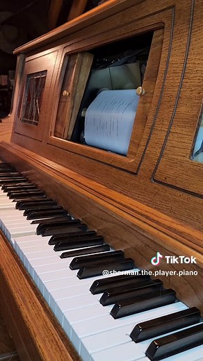 Sherman the Player Piano on TikTok