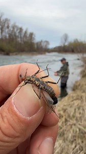 10K views · 1.1K reactions | This mama Skwala is doing her...