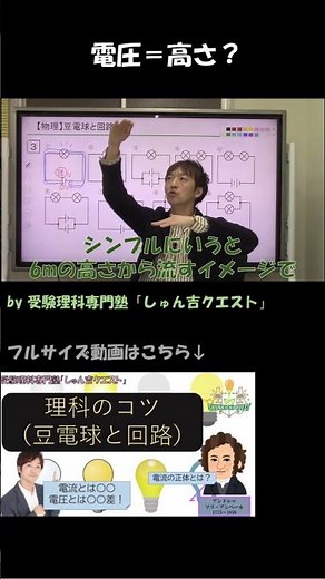 【理科のコツ「豆電球と回路」】電圧は水を流す高低差【受験理科専門塾しゅん吉クエスト】