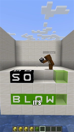 WHY HE IS LYING? 🤪 Guess The Word in Minecraft! #shorts #minecraft