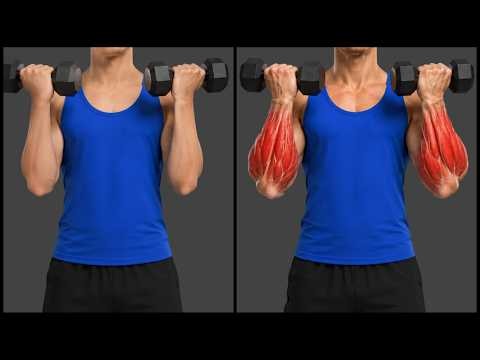 6 Perfect Exercises to Grow Bigger and Stronger Forearms | Best Forearms Workout