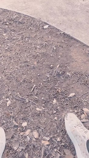 stephanieward685 (@stephanieward685)’s videos with original sound - Miss Leen🇸🇦🇵🇭🪬