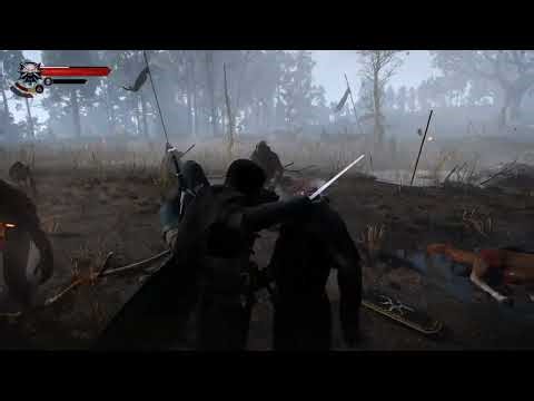 Witcher 3 My Favorite Combat Mods Gameplay