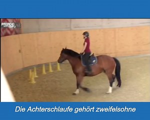 Die Achterschlaufe - zweifelsohne meine Lieblingsübung. In der longierten und gerittenen Dual-Aktivierung® beim EquiGym® Training und der EquiClassic-Work®. 💙💙💛💛 #doitdual | Michael Geitner
