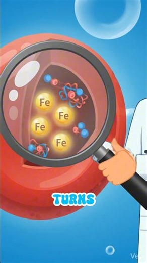 The Secret of Hemoglobin Explained! 🩸✨