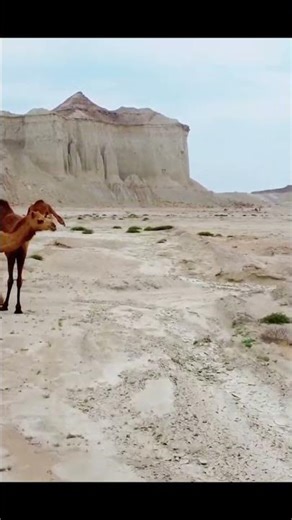 🇮🇷 IRAN: Hormuz, Beyond the News
