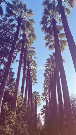 Making a 2016 collection as we speak, don’t text. 😏⭐️✨ #2016aesthetic #2016vibes #2026isthenew2016 #2016