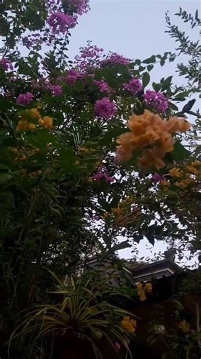 puthu vellai mazhai