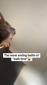 🤦‍♀️ help | Erica Christine Evans