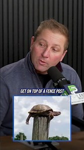 A turtle doesn't get on a fence post by itself...