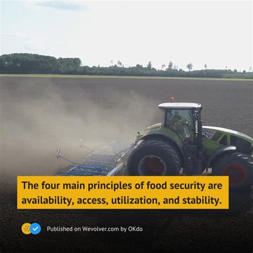 The four main principles of food security are availability, access,...