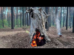 Building a Warm and Cozy Secret Shelter Deep Inside a large Tree. Bushcraft, Survival, Dugout.