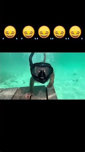 Monkey Dives and Gets Water in Its Face! Hilarious Exaggerated Expressions