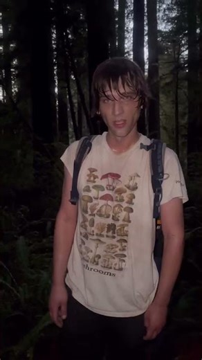 Getting Lost In The Old Growth Redwood Forest - Finding The Tallest Redwood Tree In The World