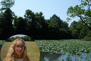 I visited Sheffield's biggest park on a scorching summers day - a perfect city escape