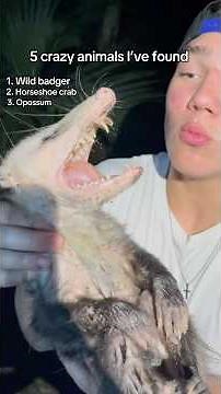 See my 5 craziest find! #Snakes #reptiles #animals #herping #funny #herpetology #animals