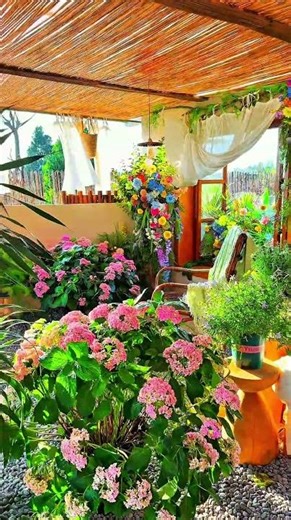 Tự nhiên thành “Công chúa ngủ trong rừng” 🌿👑