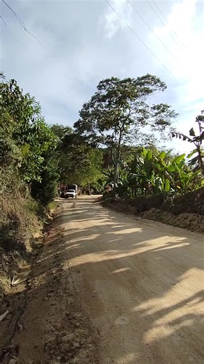 duran trucks19 on TikTok