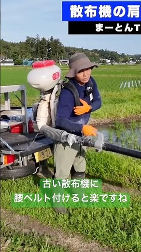 古い散布機に自作腰ベルト付けたら楽だった #散布機 #穂肥 #追肥 #腰ベルト