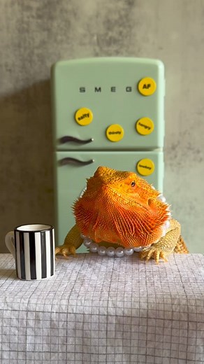 Whenever we have hornworm glizzys that get outta control large, we can always count on Betty to help us out. 🐛🍴#bigback | Valerie Musser