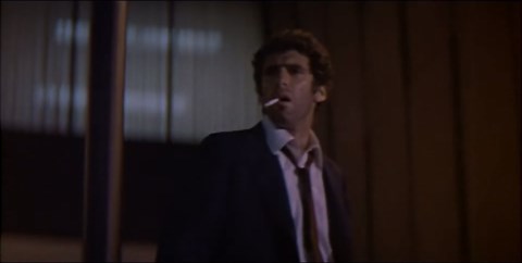 The Long Goodbye (1973)