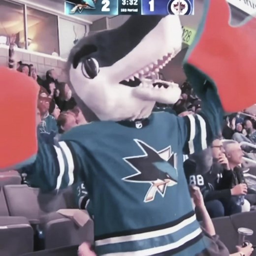 I LOVE SHARKIE: San Jose Sharks Mascot Tribute