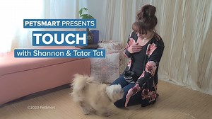 Learn how to “boop” from the professionals! 😍PetSmart Certified Trainer Shannon & her adorable best friend Tator Tot are here to help teach your dog to "touch" by coming directly to you and placing their nose on your hand. This command can help get your dogs attention and calm an excited or anxious dog. Share your dog’s boop in the comments below! Shop training treats here: ptsmrt.co/TrainingTreats #StayHomeWithPetSmart #fortheloveofpets | PetSmart