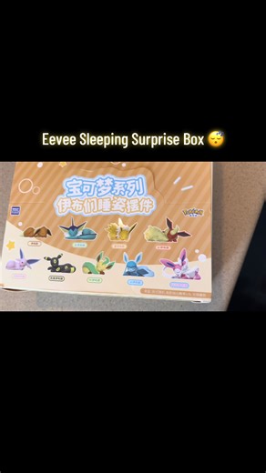 Unboxing My Adorable Eevee Surprise Box!
