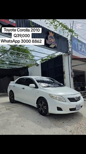 WhatsApp 3000 8862 | Importadora Viflo