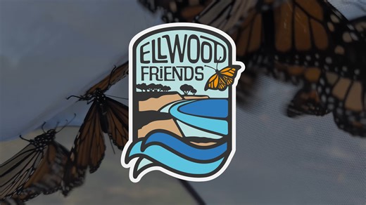 Ellwood Friends + the Central Coast Monarch Project