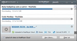 Free realplayer video downloader for windows 10
