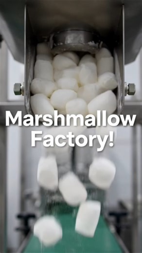 How Marshmallows Are Made in a Factory #factoryprocess #factoryprocess #usa #satisfying