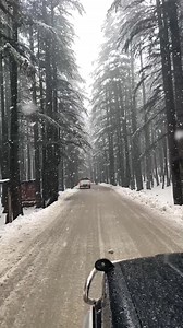 Live Snowfall Scenes from Ushu Forest Kalam🖤 | Adventure Hunters