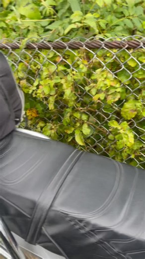 Jodi Samdi 17 Janvye 2026, pou Fèt Sen Patwon Lory nan Komin Marfranc, nou te fè yon bèl jès lanmou ak devouman: kite Dam Mari bonè pou al kouvri Mès la. Malgre lapli a, labou, wout yo enpratikab, pasrèl la glise, kawotchou moto a manke fè nou desann anba 😥🏍️, LANATI te veye sou nou, e gras a Li, sa pa t grav 🙌 Nou kontinye wout la, nou rive, nou retounen san gwo pwoblèm. Sa se vrè prèv kouraj, lafwa ak lanmou 🤌❤️ MÈSI !!! 🙏✨ | Nathan Showlive