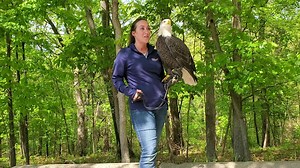 3.3K views · 164 reactions | Liberty has some exciting news to share with you about how you can come to the Sanctuary and see some of our amazing birds! | World Bird Sanctuary | Facebook