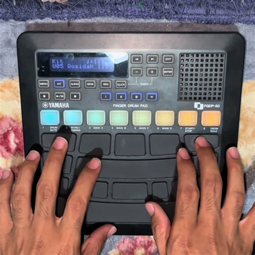 Understanding Test Sampling in Data Analysis