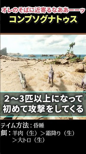 【ARK】忘れられないトラウマ コンプソグナトゥス #shorts #arksurvivalevolved #アーク #ark