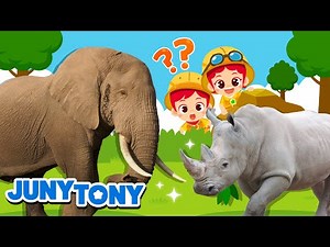 Os Maiores Animais | Elefante e Rinoceronte | Curiosidades | Música Infantil | JunyTony em Português