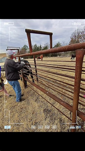 This gal was asking for assistance when I walked out into the pasture this morning. Calf had a leg back so we fixed that and then pulled it. If your gut tells you something is off, it’s best to listen to it. Better safe than sorry. #ranchlife #workingforaliving #calves #cattle #beef