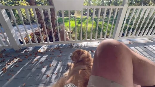 The sun feels soooo good on the porch this afternoon | James Howes