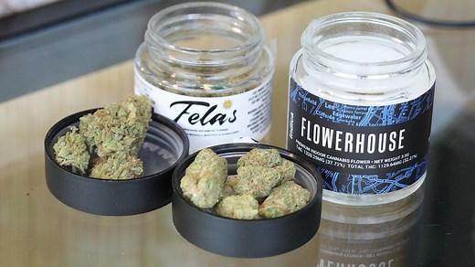 24 states have legalized recreational marijuana. Is Alabama one of them?