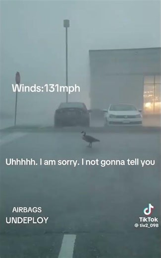 What kind of torando hunter is this