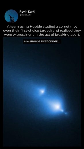 Sometimes, the best science happens on accident